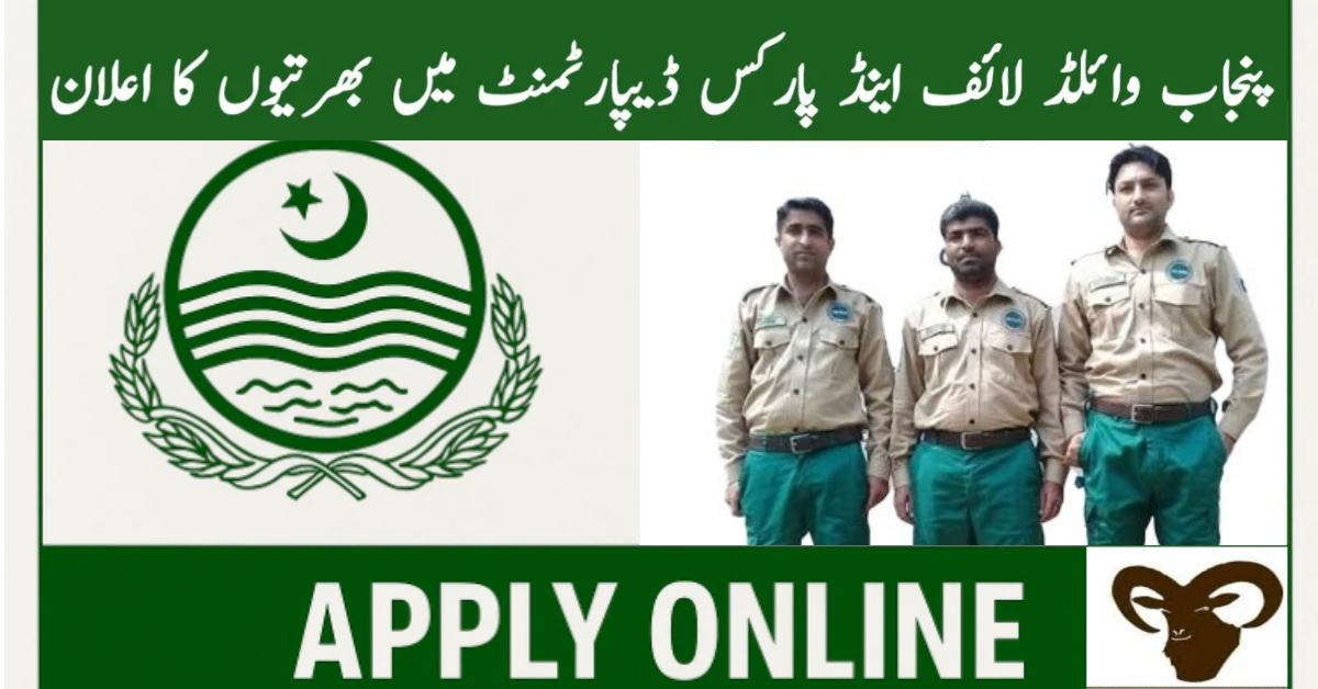 Punjab Wildlife & Parks Department Jobs 2025 Apply Online