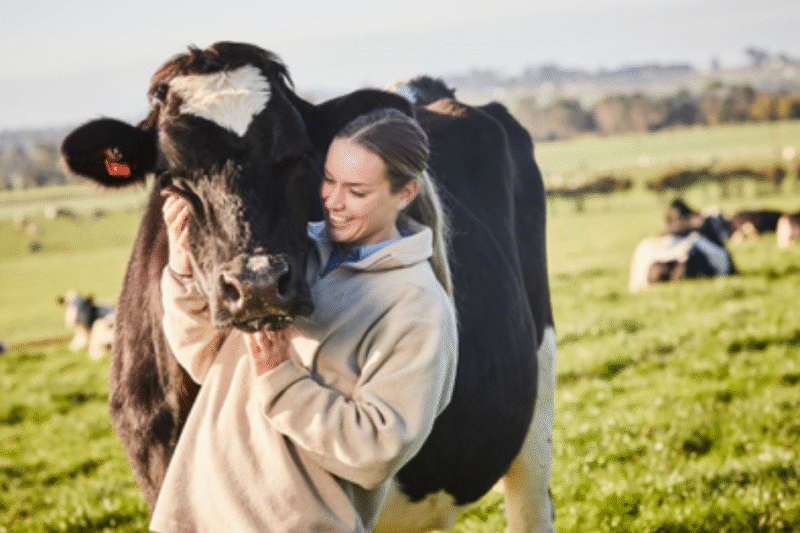 Dairy Farm Jobs in Australia 2026
