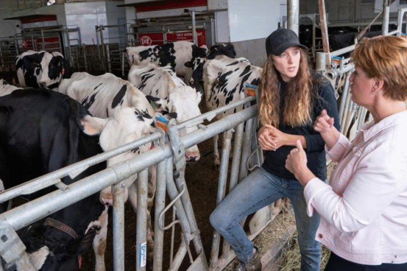 Dairy Farm Worker Jobs in Canada
