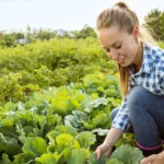 Farming Jobs in Canada 2026