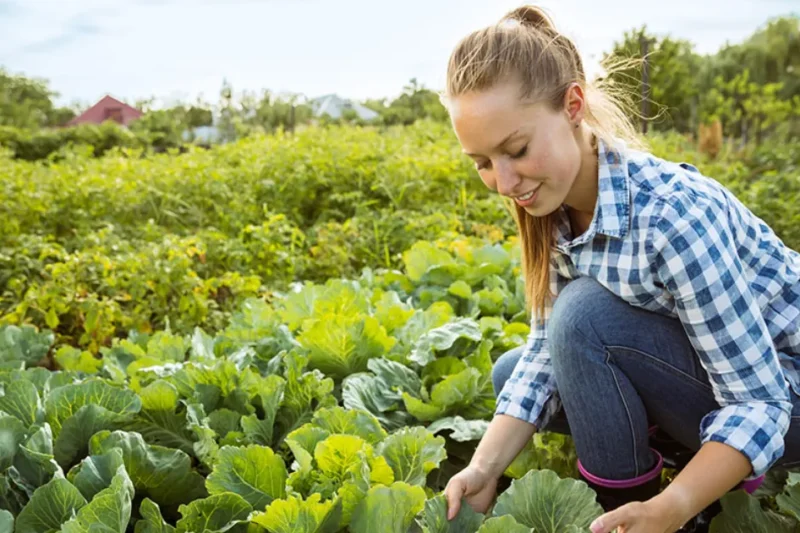 Farming Jobs in Canada 2026: Apply Now